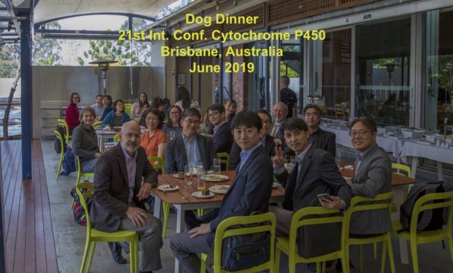 ICCP450-2019-FPG-GroupDogLunch