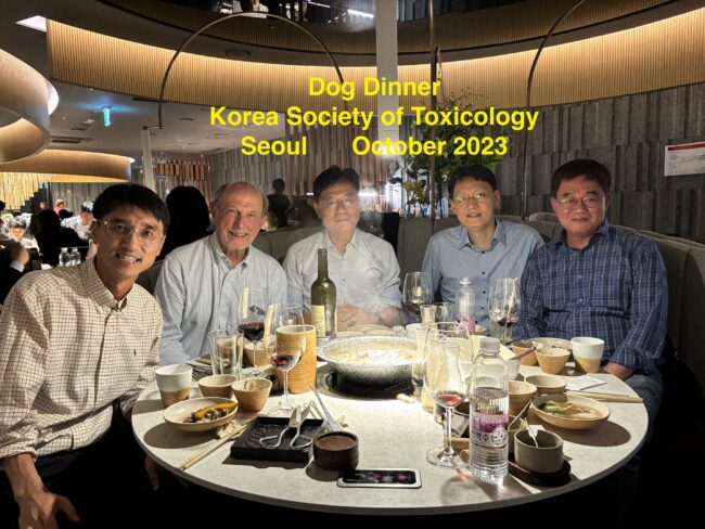 DogDinnerSeoul KSOT-Oct2023