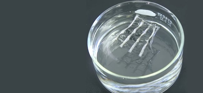 Xin’s thermoresponsive transient circuits function in hot water but dissolve in cold water
