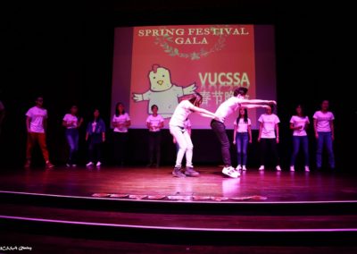 VUCSSA_SpringFestival_2017_11