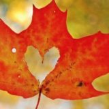 fall-pinterest