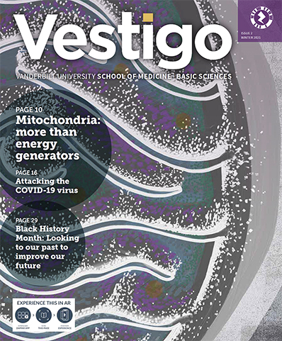 Cover image of the March 2021 Basic Sciences magazine, Vestigo.