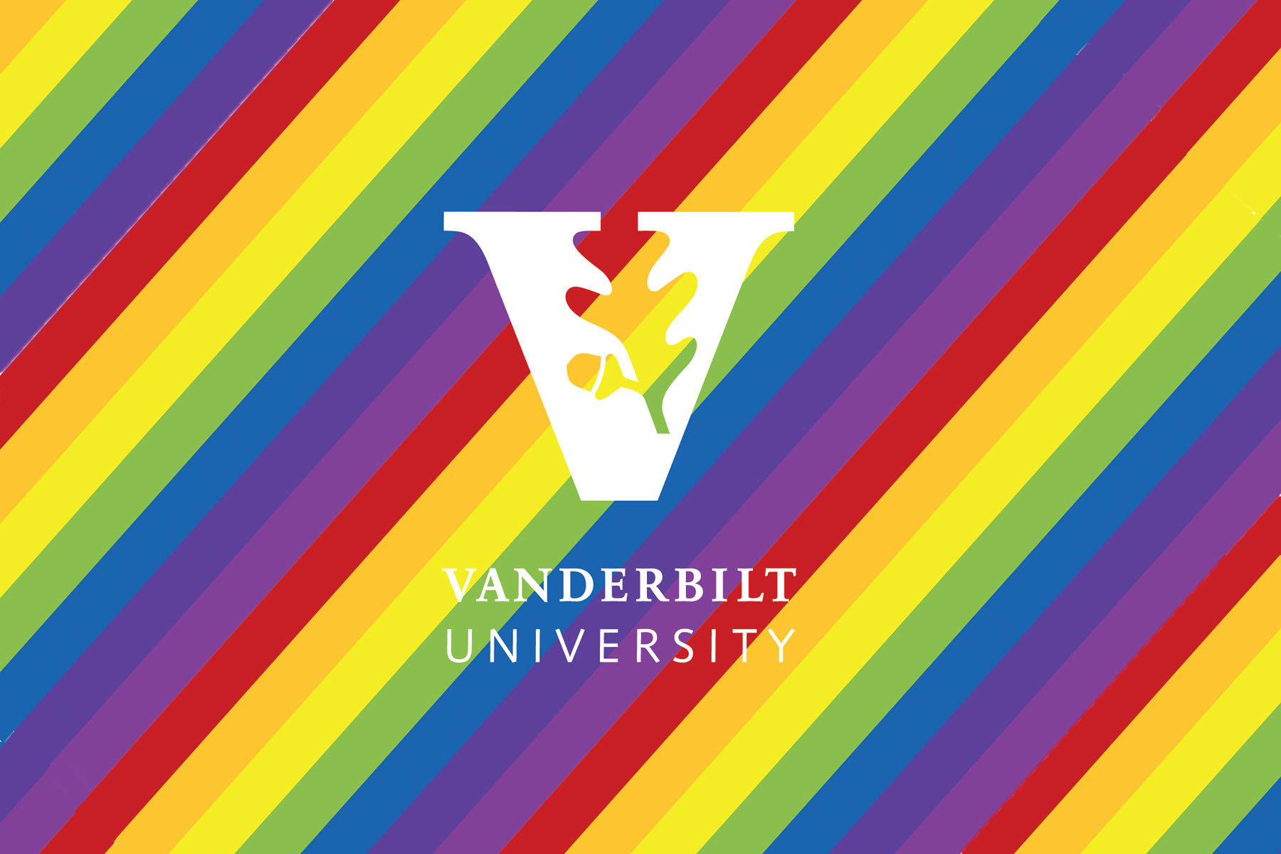 VU Postcard Rainbow