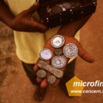 Microfinance and the empowerment of women