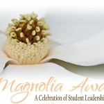 Magnolia-Picture-2