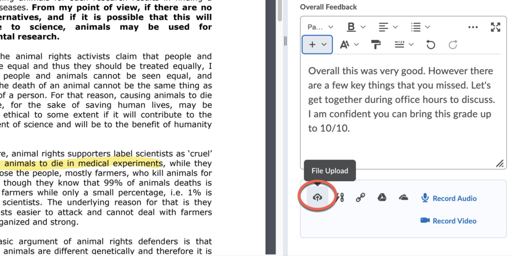 brightspace assignment annotation