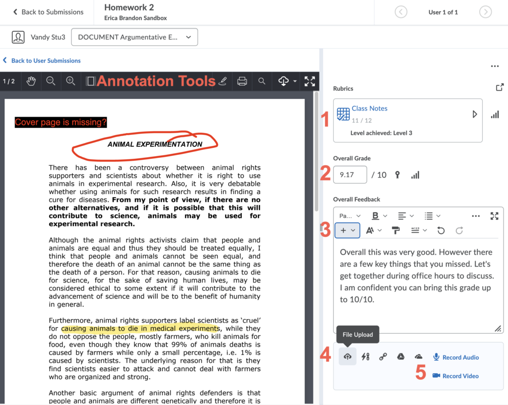 brightspace assignment annotation