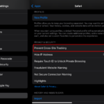 iPad Safari settings – 8-28-25