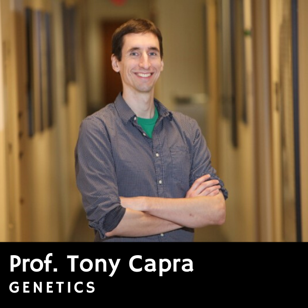 Prof. Tony Capra, genetics