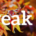 FallBreakHoursInnerVU