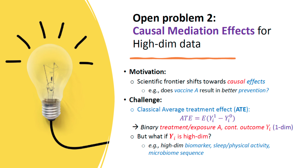 "Open problem 2" slide from Jinyuan Liu's lightning talk, featuring a light bulb with hand-drawn rays and outline of a causal mediation effects challenge