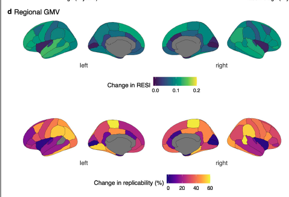 Four sets of brain-shapes. The first two, in shades of green, blue, gray, and black, depict change in RESI on a scale from 0.0 to 0.2. The second set, with sections colored in shades of orange, yellow, red, purple, gray, and black, depict change in replicability on a scale from 0 to 60%