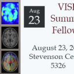 VISE-summer-fellows-2018