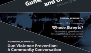 Guns, Communities, and Civic Life