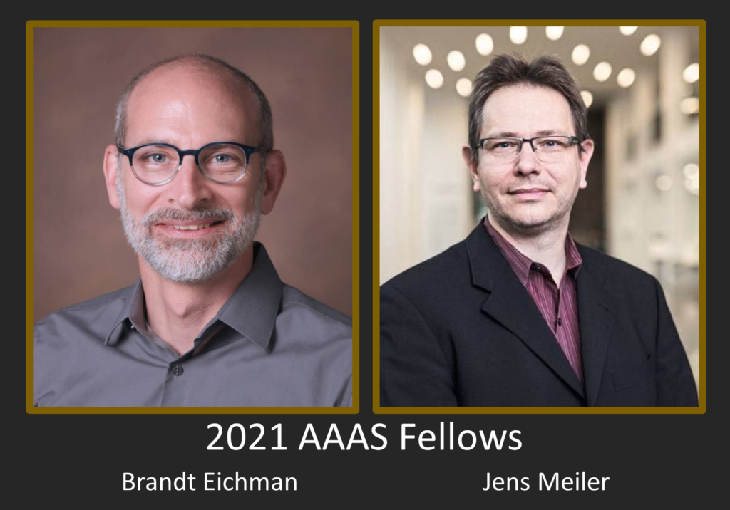 Eichman And Meiler Elected AAAS Fellows In 2021 | Center For Structural ...