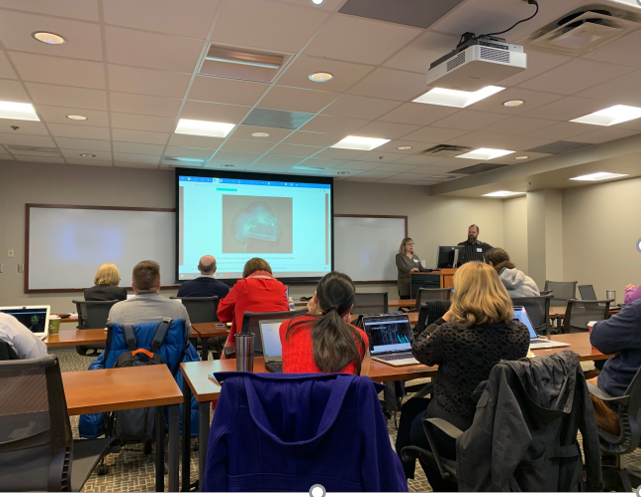 This photo, taken at the IIF workshop, shows a classroom with attendees watching a presentation. The shot is taken from the back of the room, so you see people's backs and the projector screen.