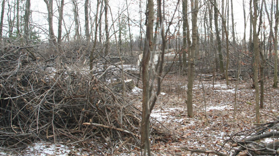 Damage in northwestern Ohio, 2009