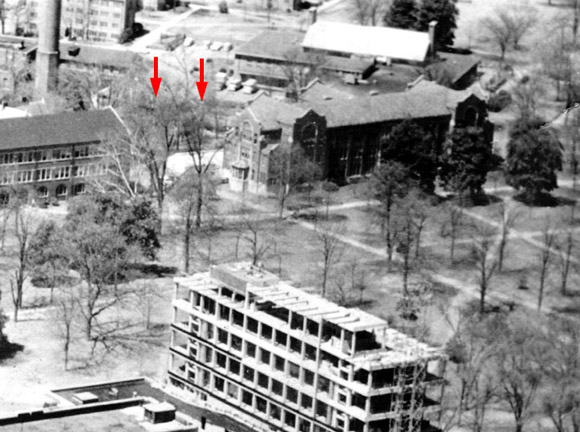 Trees at location of Stevenson Courtyard, 1961