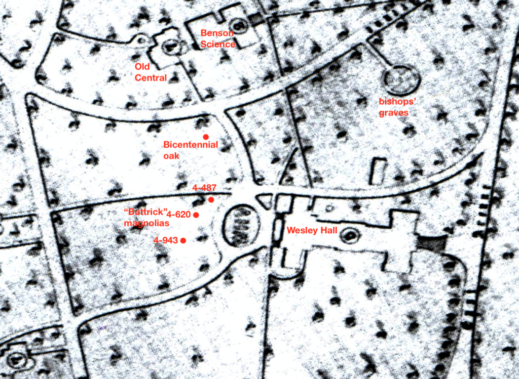 1897 map showing location of magnolias near Buttrick Hall