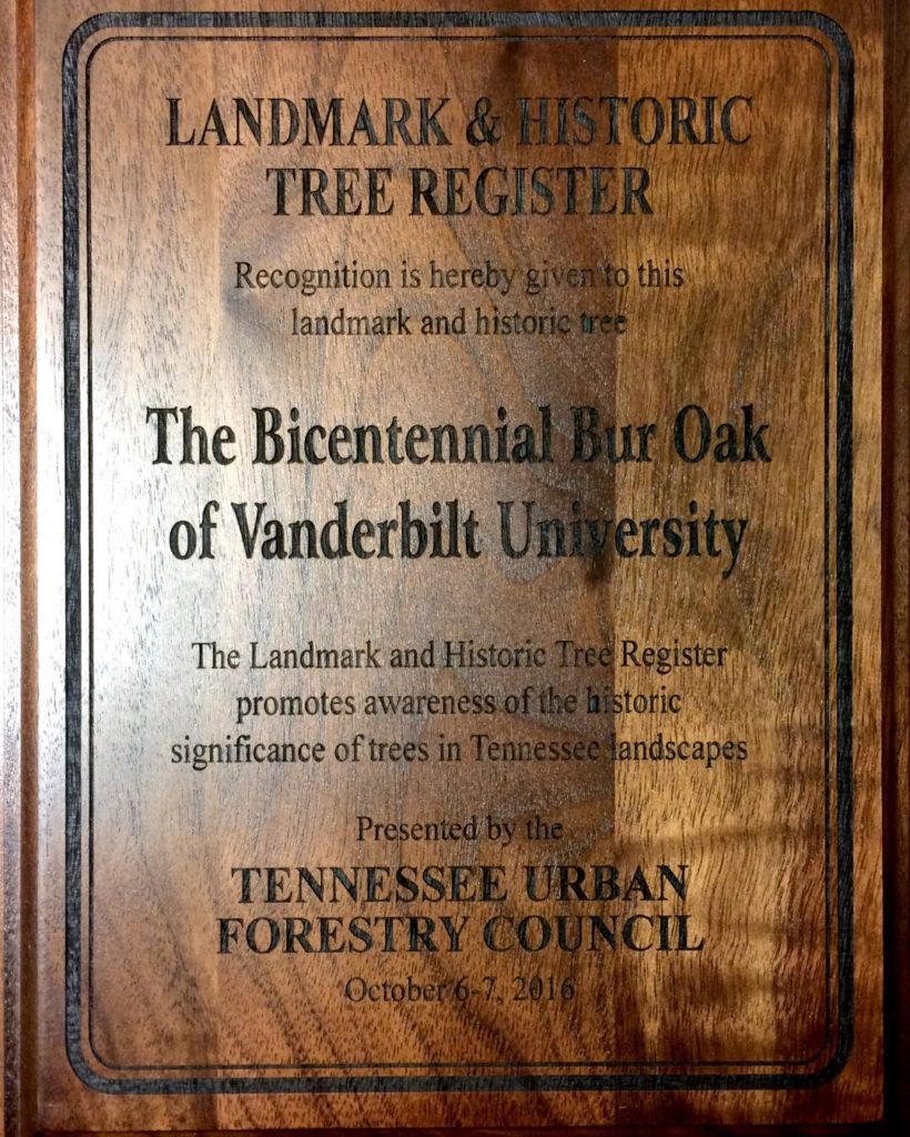 Bicentennial Oak landmark plaque