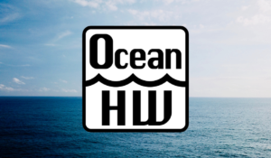 Ocean HackWeek 2023 offers unique data science learning experience in oceanography