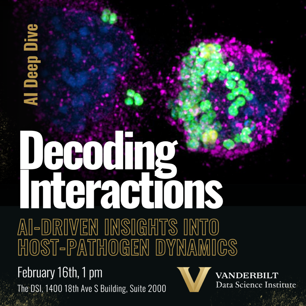 Decoding Bats A Morpheme Deep Dive - vdfwmwc