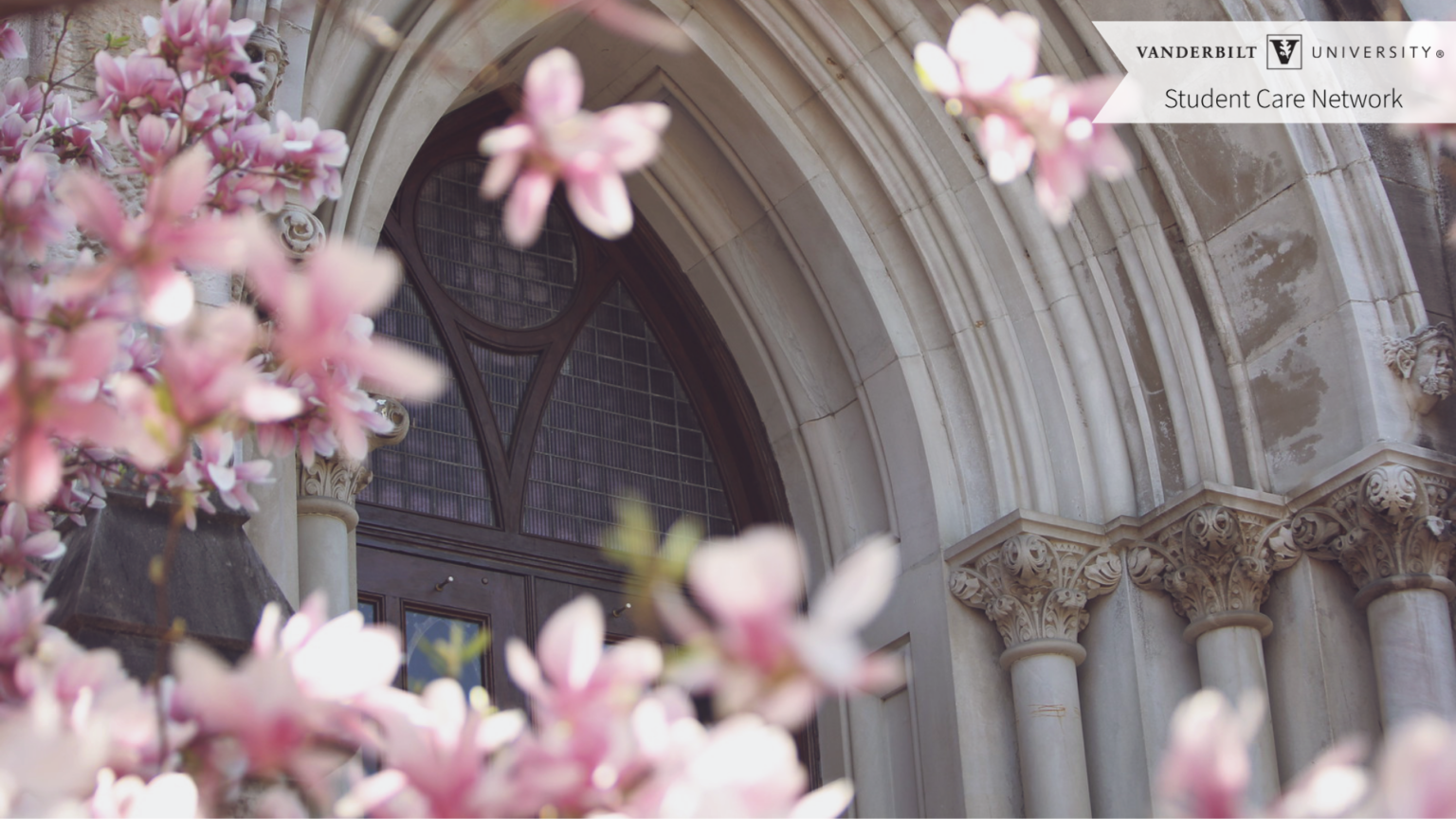 Zoom Backgrounds Student Care Network Vanderbilt University