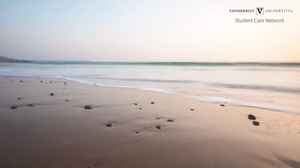 Zoom Backgrounds Student Care Network Vanderbilt University