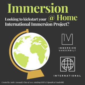Graphic of a globe with large text advertising the International Pathway of Immersion Vanderbilt