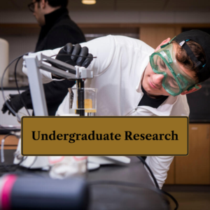 Undergraduate Research