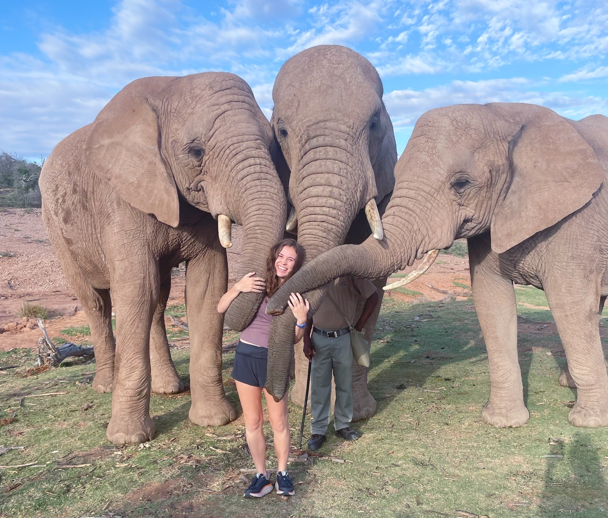 Studeny poses with three elephants, holding their trunks, during study abroad in South Africa.