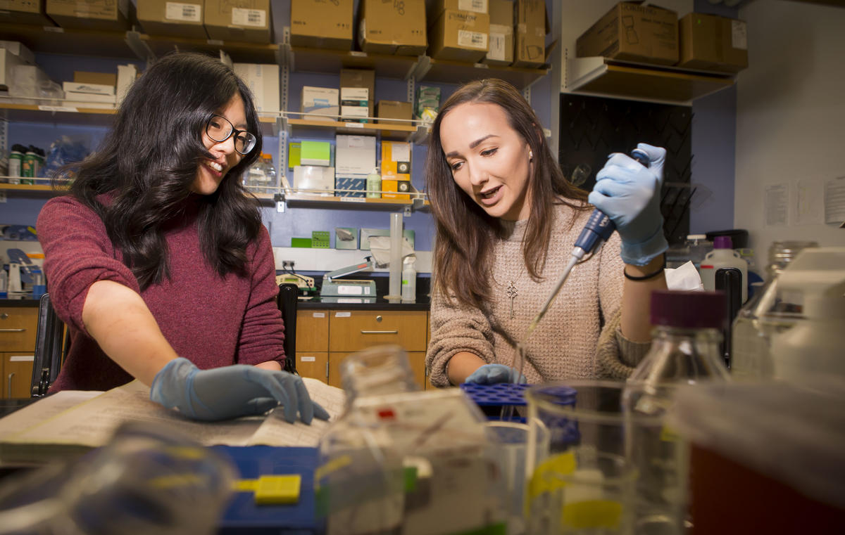 Students do research in the Reinhart-King Lab.