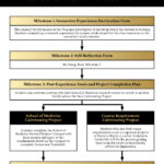 SOM-IV Workflow