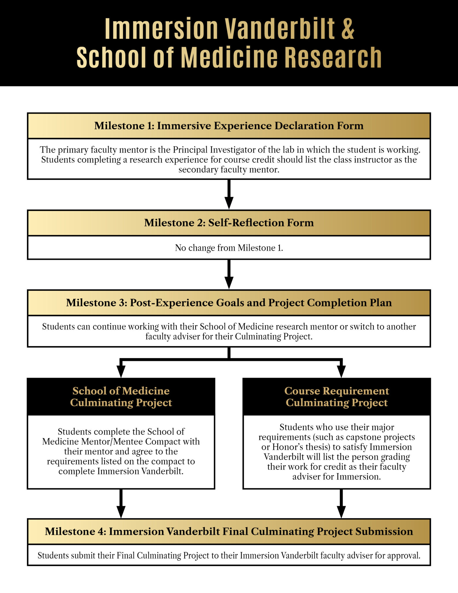Immersion Vanderbilt in the School of Medicine Office of Experiential Learning and Immersion