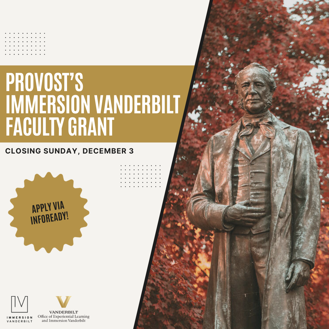 Immersion Vanderbilt Faculty Grant_Fall 2023