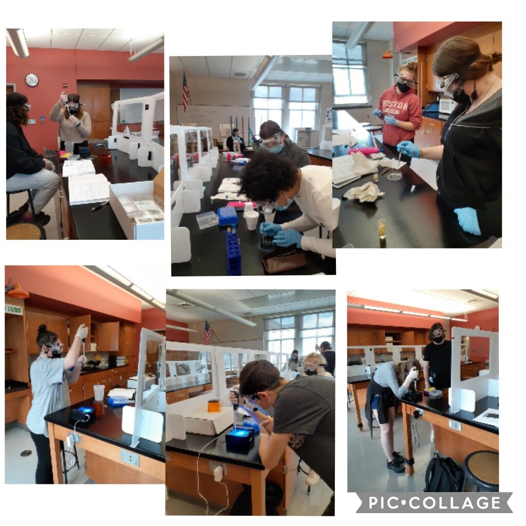 Collage of students working on molecular biology (gels, PCR) in a classroom.