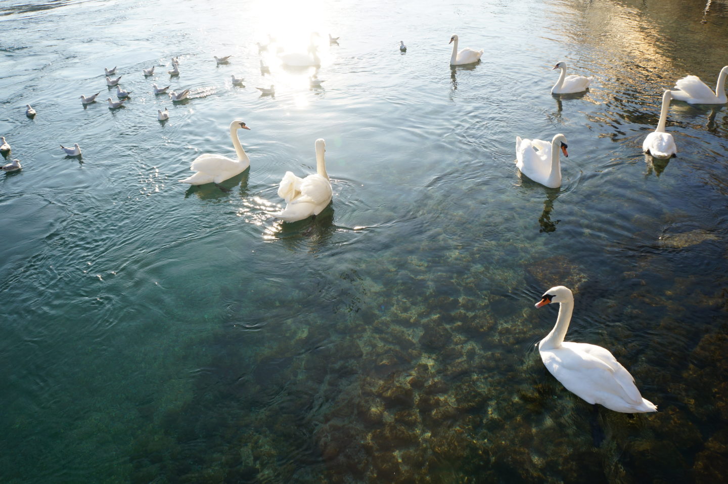 Living in a Fairytale, courtesy of Leigh Cooper