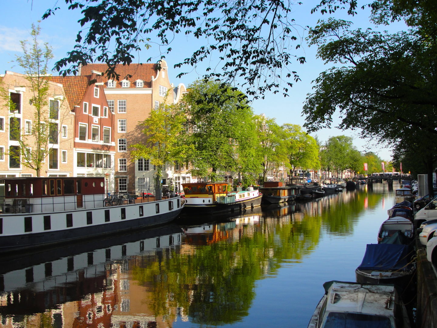 Still August Morning, courtesy of David Waites