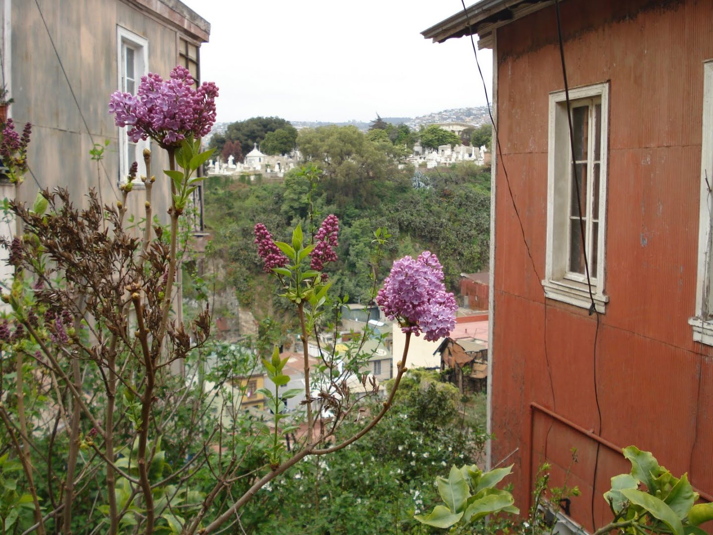 Valparaiso, courtesy of Sarah Frances Moredock