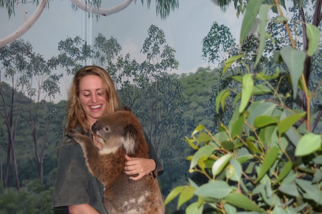 Koalaty Moment, courtesy of Christine Ellenburg