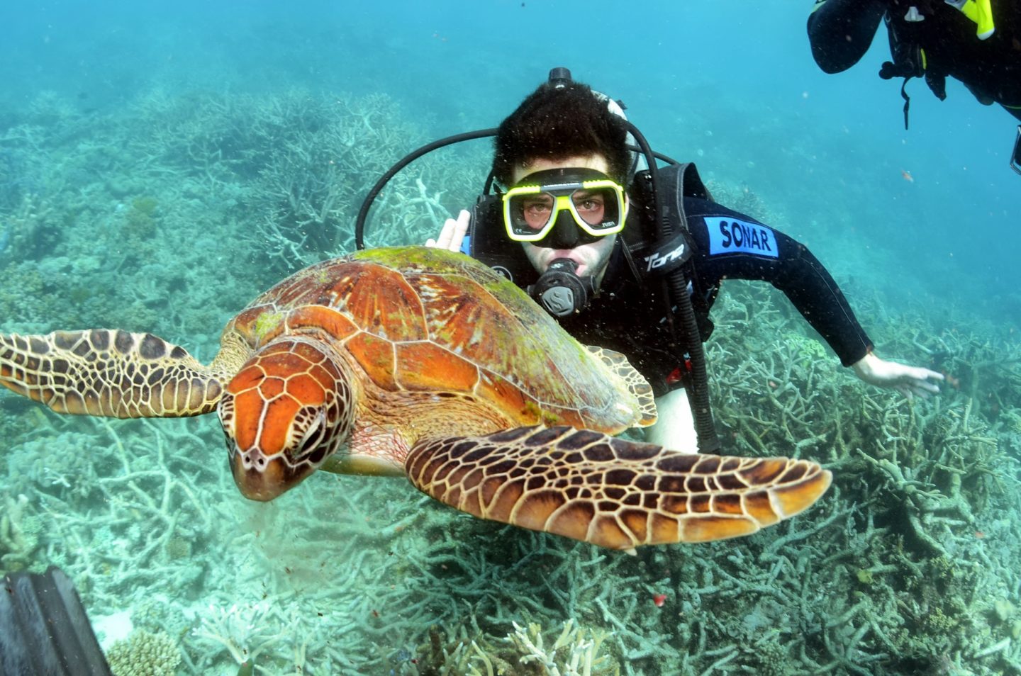 Scuba Diving , courtesy of Alexander Joseph Krew