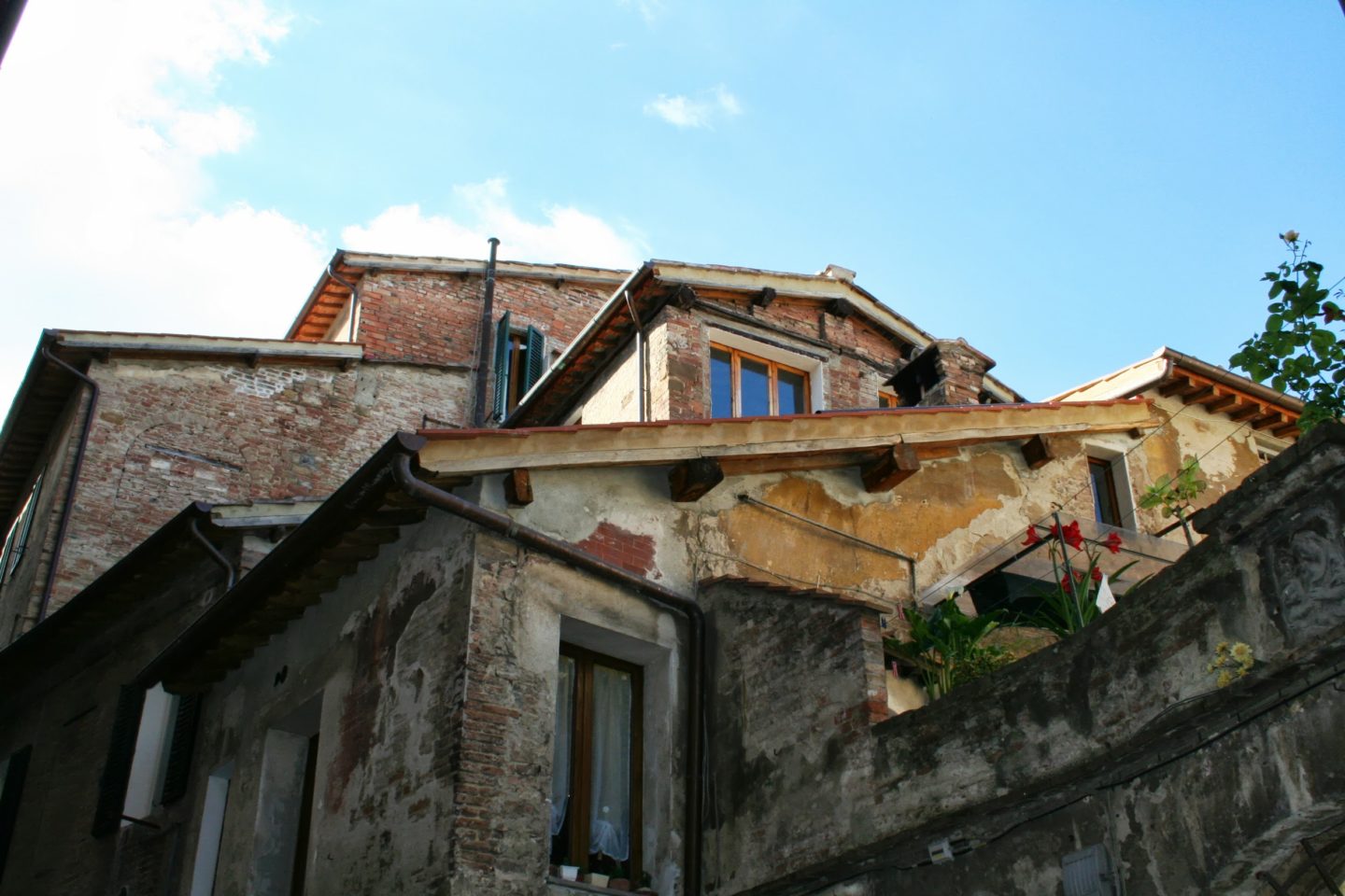 House and Home, courtesy of Tamara Rose Cecala