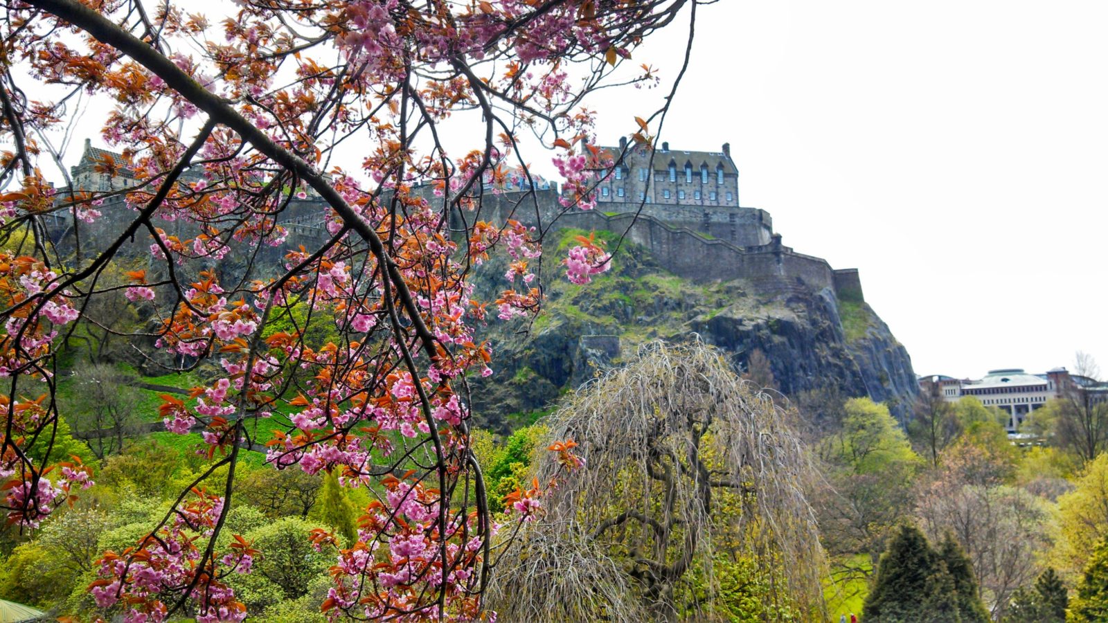 Edinburgh Castle in Springtime, courtesy of Jamie Dianne Garden