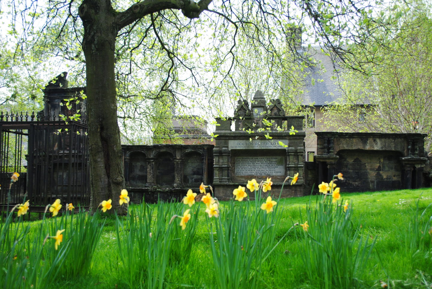 Graveyard in Glasgow, courtesy of Hannah Pauly