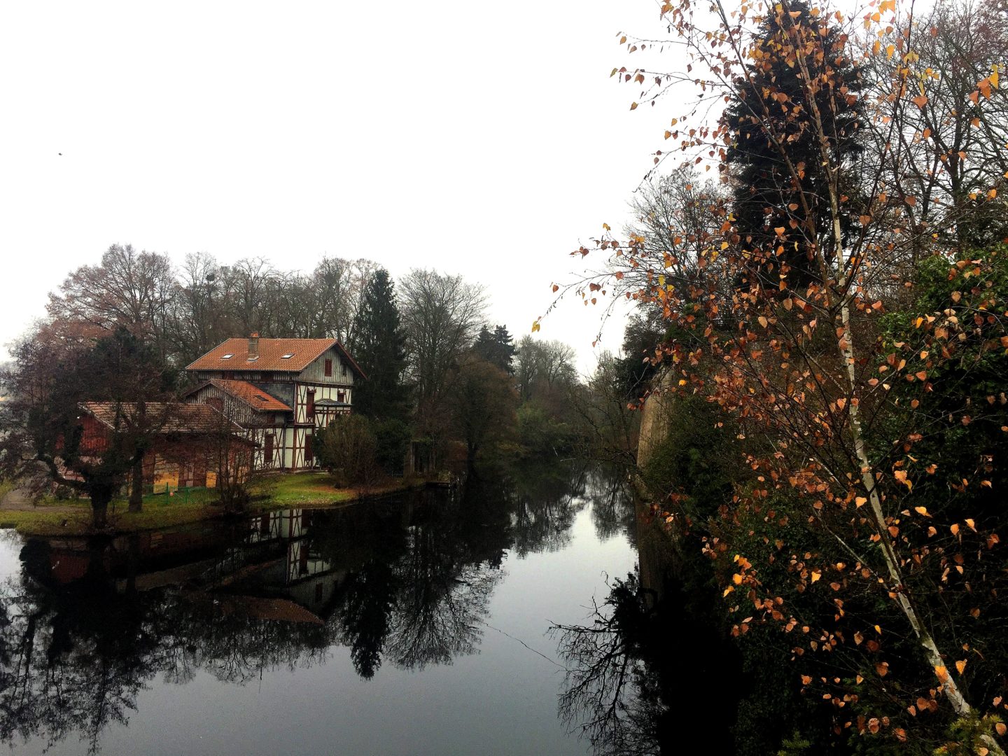 Metz, courtesy of Cole Wagner