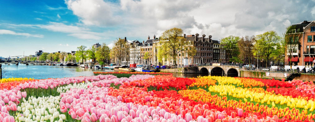 Amsterdam Canal, courtesy of SIT Study Abroad
