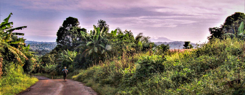 Cameroon, courtesy of SIT Study Abroad