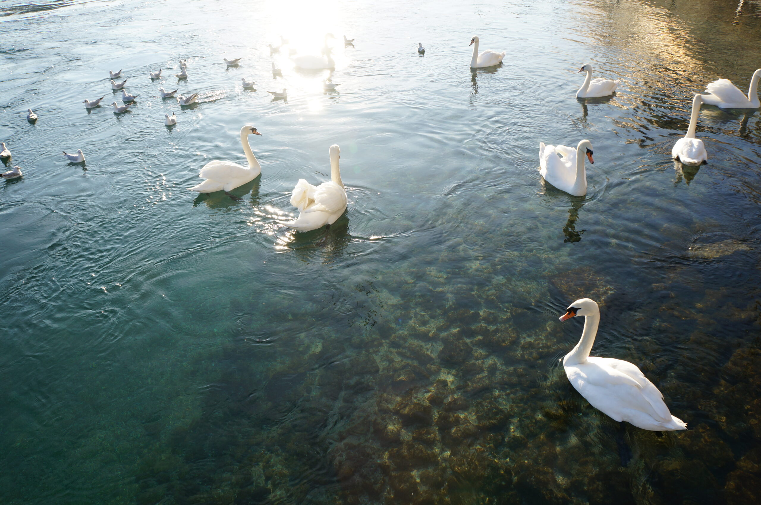 Living in a Fairytale, courtesy of Leigh Cooper