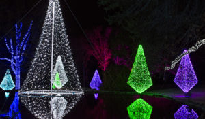 Cheekwood Holiday Lights & Other Holiday Festivities