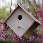 Birdhouse-500×250